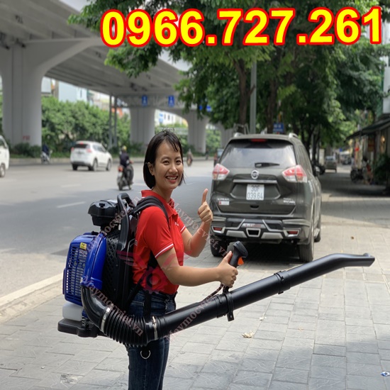Máy thổi lá đeo lưng chạy xăng 2 thì công suất 3kw
