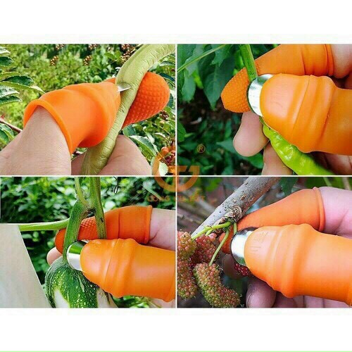Găng tay nhặt rau - găng ngón tay ngắt rau củ - ngón tay thép nhặt rau củ quả trái cây