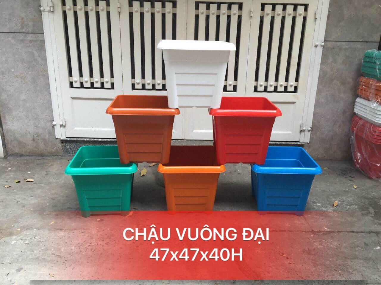 Chậu Nhựa Vuông Đại Trồng Rau, Trồng Cây Ăn Trái - Trồng Cây Ăn Trái - Siêu Bền