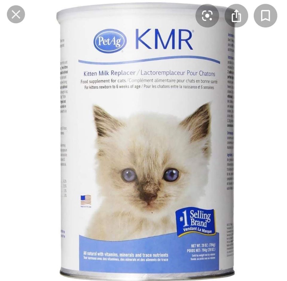 Sữa kmr cho mèo con 340g