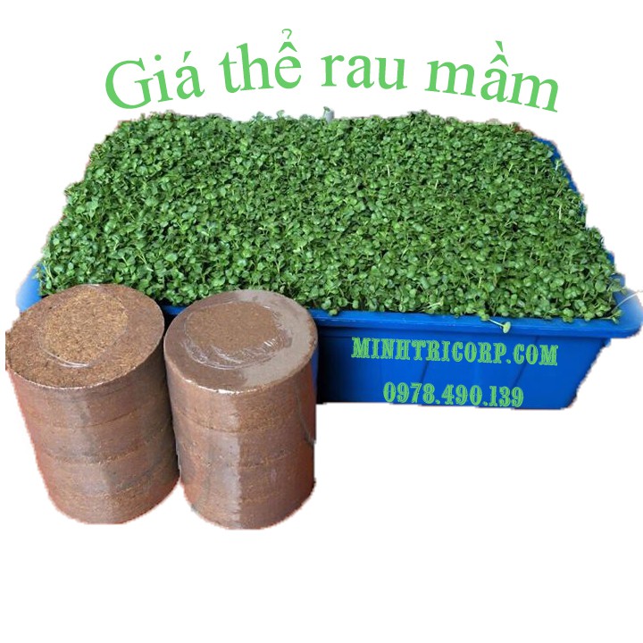 [HCM]THÙNG 24 VIÊN GIÁ THỂ MỤN DỪA - TRỒNG RAU MẦM