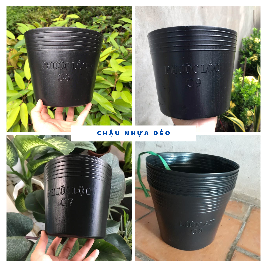 Chậu nhựa dẻo đen trồng cây, cây cảnh, trồng rau kích thước c6, c7, c8, c9, c10, c11, c12 -vattuvina