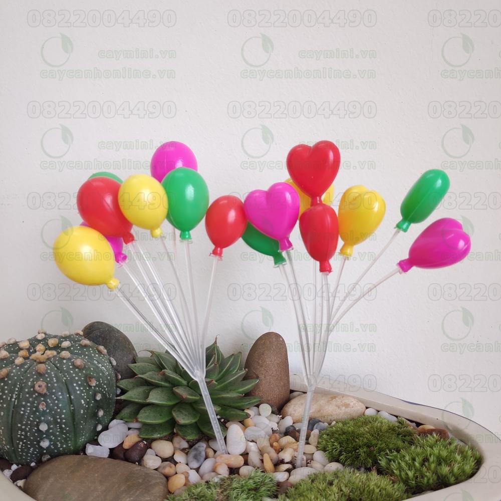Bóng bay sắc màu trang trí tiểu cảnh terrarium