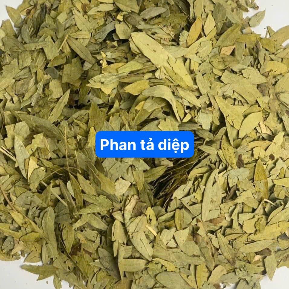 Phan tả diệp khô - 100gr - giúp nhuận tràng, giảm mỡ, giảm cân