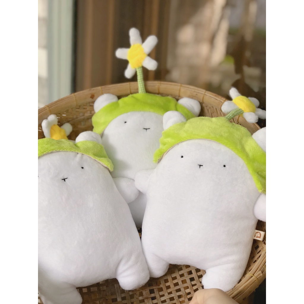 Thịnh nhỏ mập ú đội nón - gấu bông đình may 20x20cm