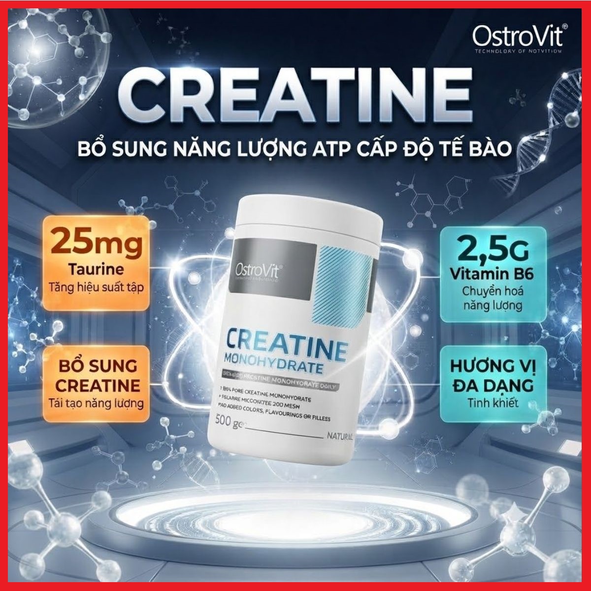 Creatine 500g 200 lần dùng Hủ/Bịch tuỳ đợt – Bổ sung Acid Amin Creatine, Taurine, B6, gia tăng sức mạnh, tái tạo năng lượng tập luyện