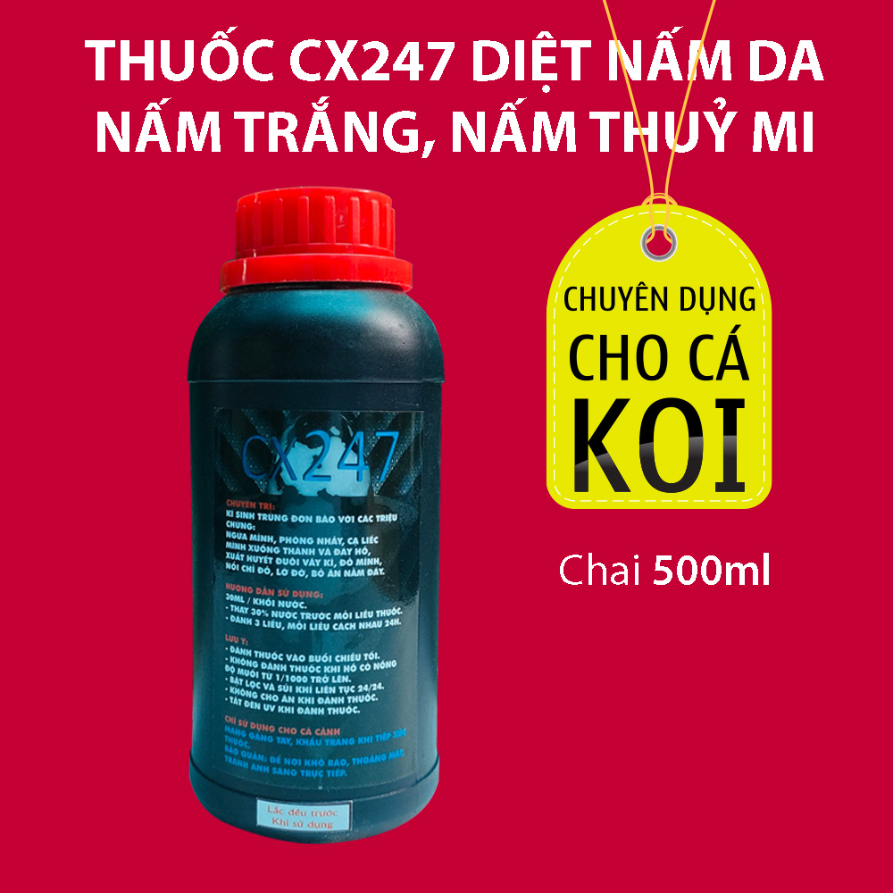 Dung dịch CX247 chai 500ml cho cá Koi bị nấm thuỷ mi, ký sinh trùng đơn bào và nấm da