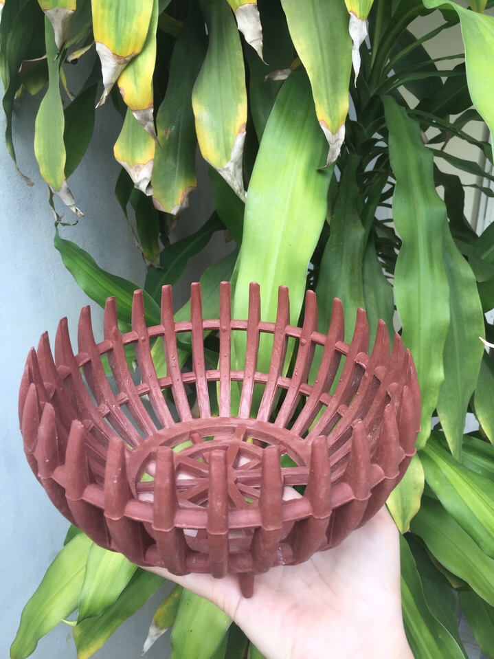 Set 5 chậu lan phi 23 giả gỗ