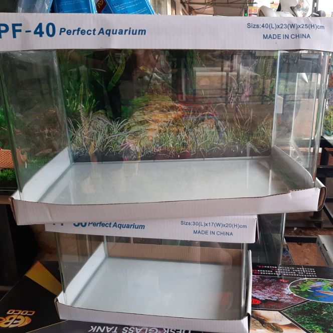 Hồ đúc mini thủy sinh dài 40cm, hồ cá cảnh, bể cá được uốn cong mặt trươc. giá rẻ bèo
