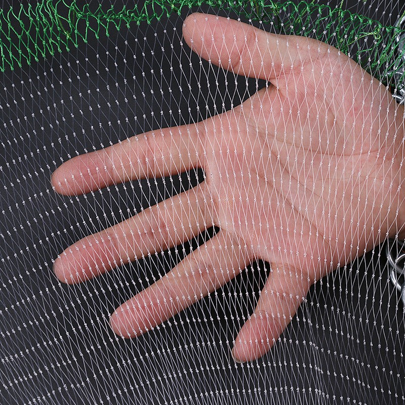 j0kVy5_simg_d0daf0_800x1200_max.jpg