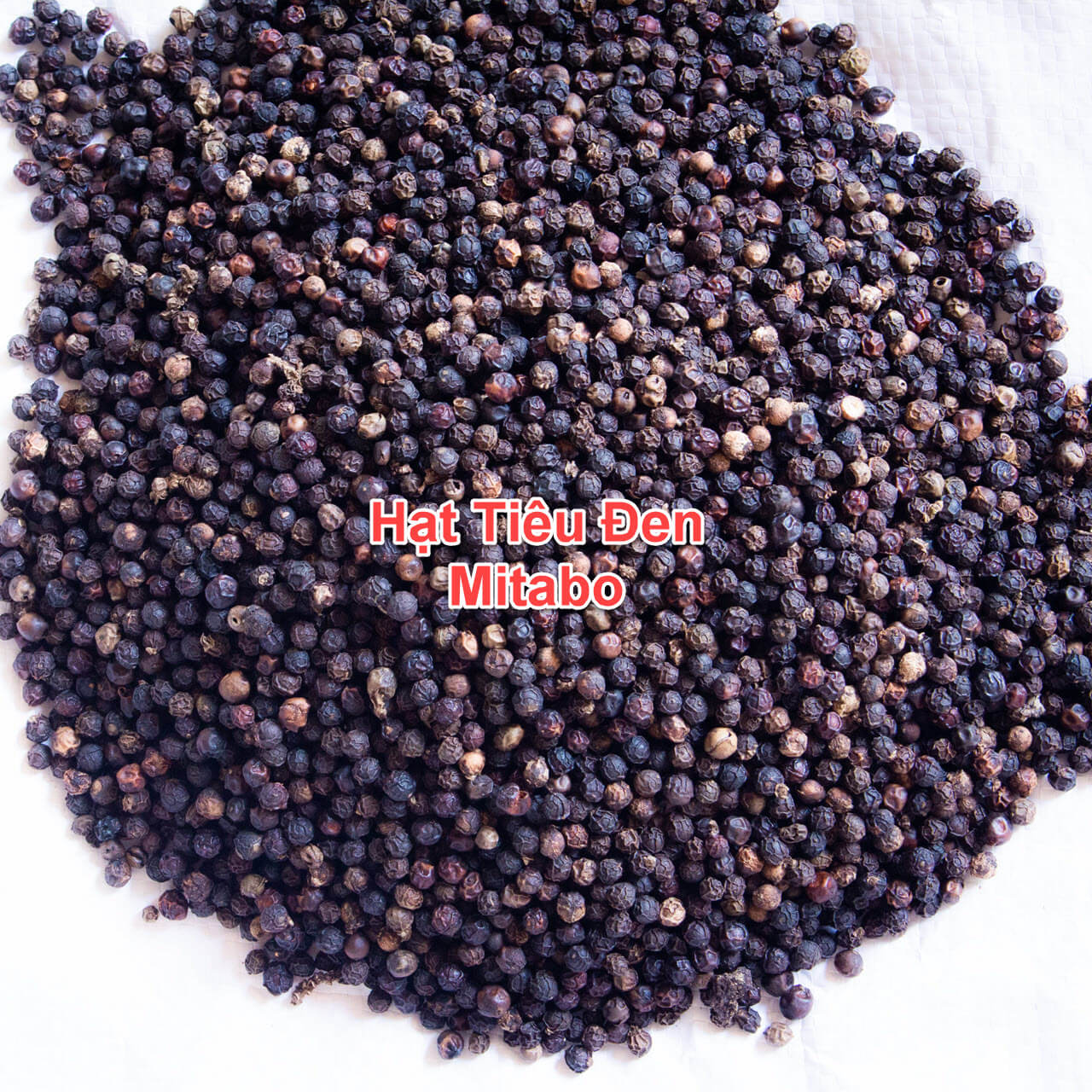 Hạt tiêu đen nhà làm đặc sản Vĩnh Linh - Quảng Trị hạt chín đỏ thơm nồng