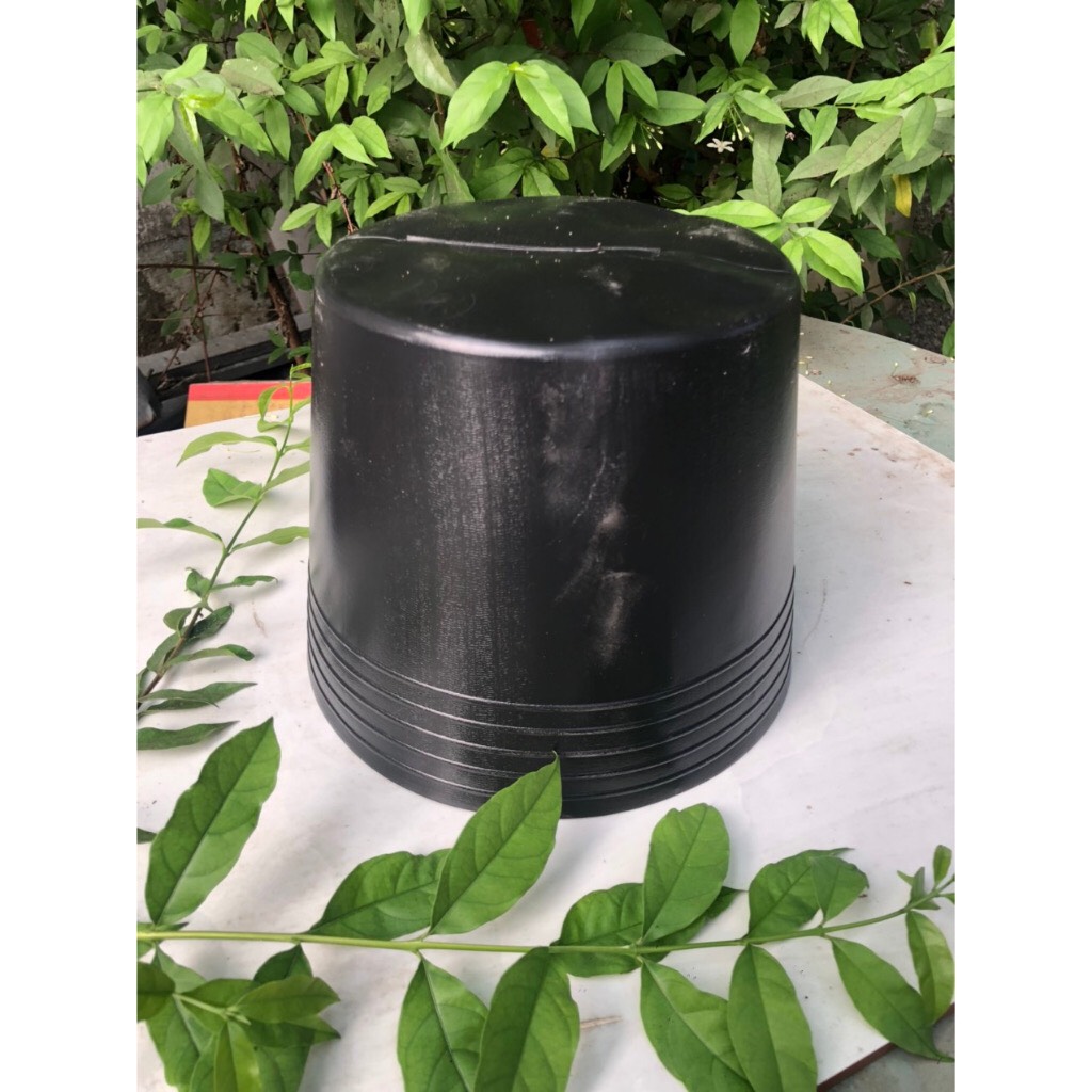 Chậu nhựa trồng sen 100 cái C9 bít lổ đen dày dặn