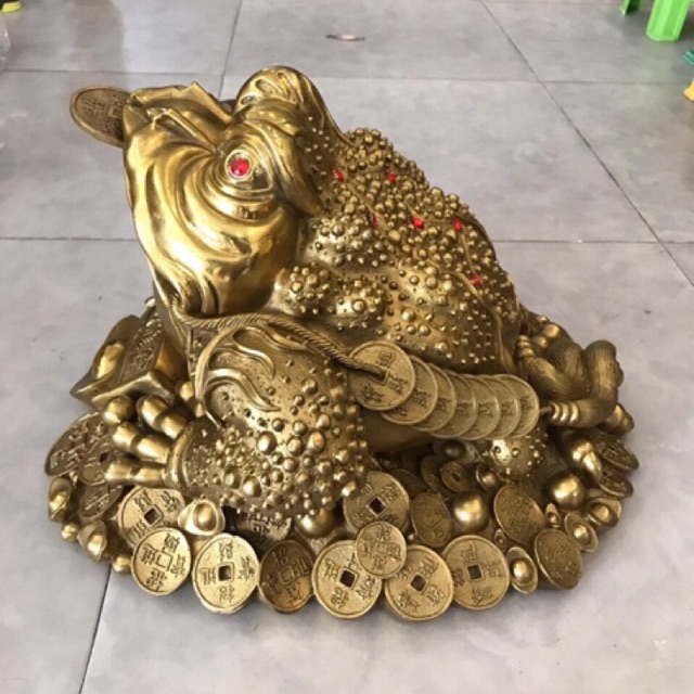 Thiềm thừ cuốn thư