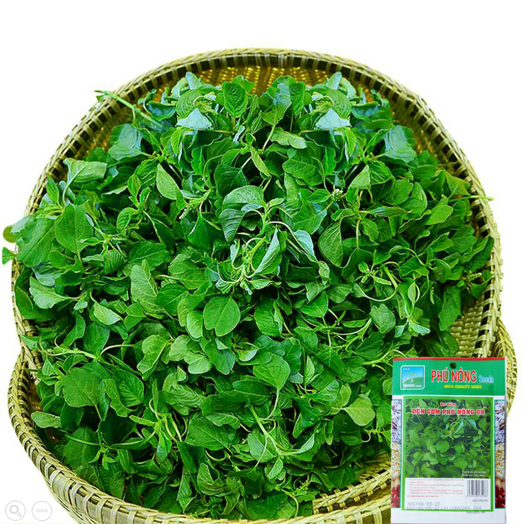 Hạt Giống Rau Dền Cơm Phú Nông - Gói 10g - Dễ trồng, dễ chăm sóc, kháng bệnh tốt, sinh trưởng nhanh VTNN Nông Điền Trang