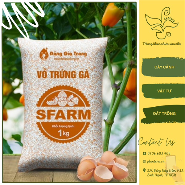 Vỏ trứng gà xay sfarm túi 1kg - giá thể - vỏ trứng gà