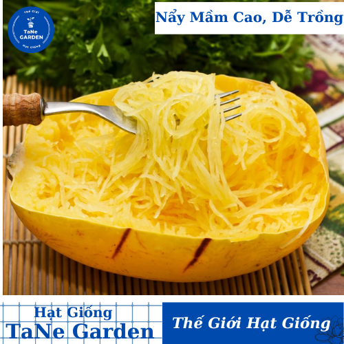 1gr hạt giống bí sợi mì ý spaghetti