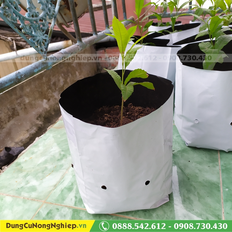 Túi nylon trồng cây đục lỗ 18cm x 36cm 1kg