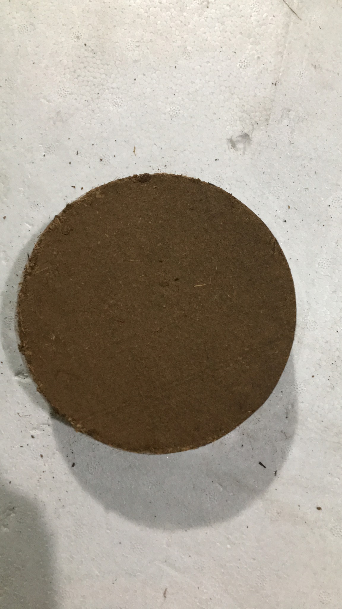 Mụn dừa dinh dưỡng đã qua xử lý ép bánh 400gr