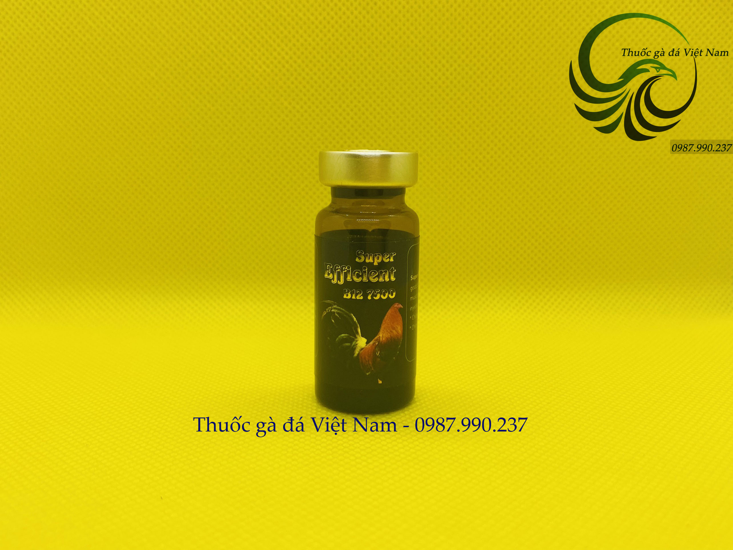 Thuốc nuôi chích b12 - 7500 cho gà đá, tăng bo khủng, siêu lỳ