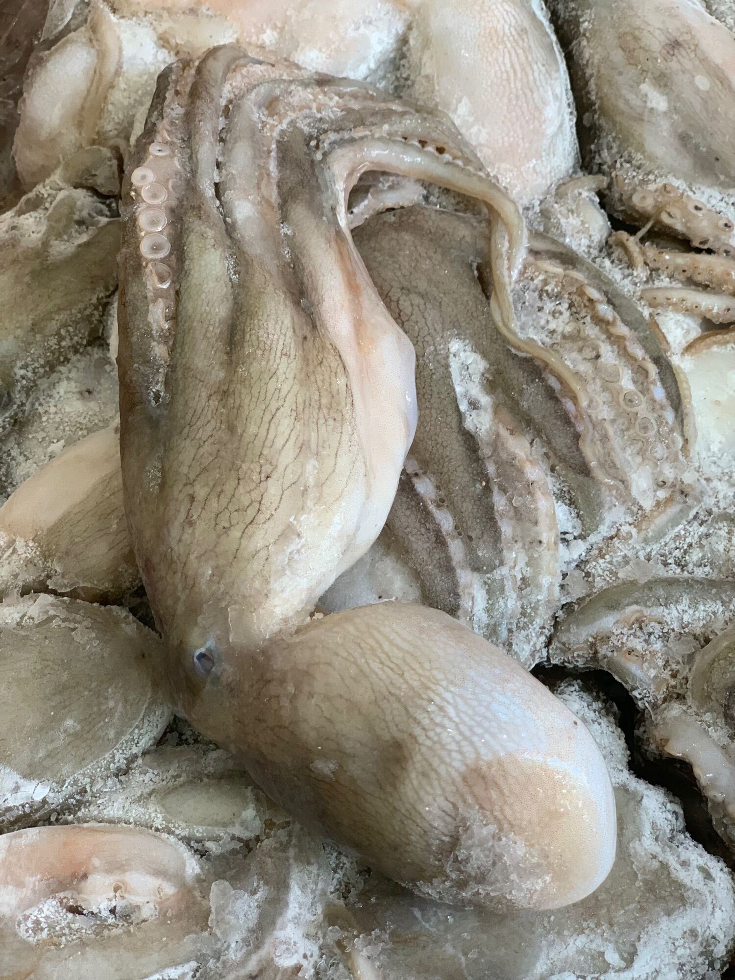 Bạch tuột 2 da 1kg