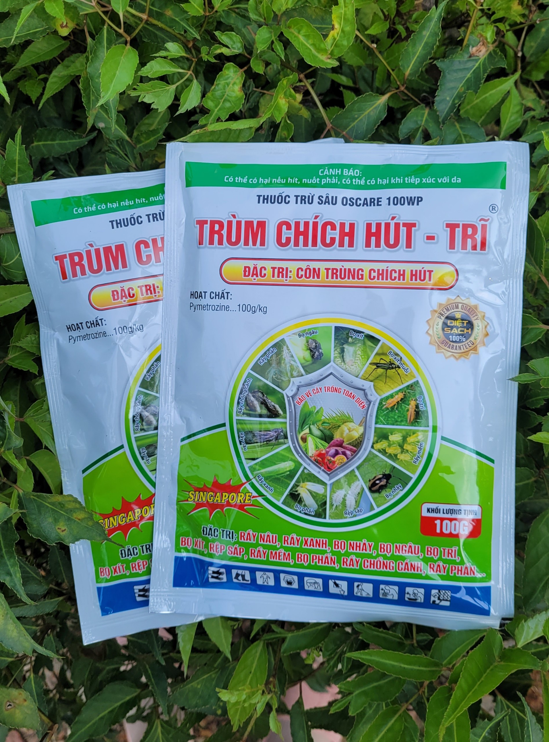 Thuốc trừ rầy nâu, rầy xanh, bọ trĩ, bọ phấn trùm chích hút 100wp gói 100gram_vtnn tien khoa
