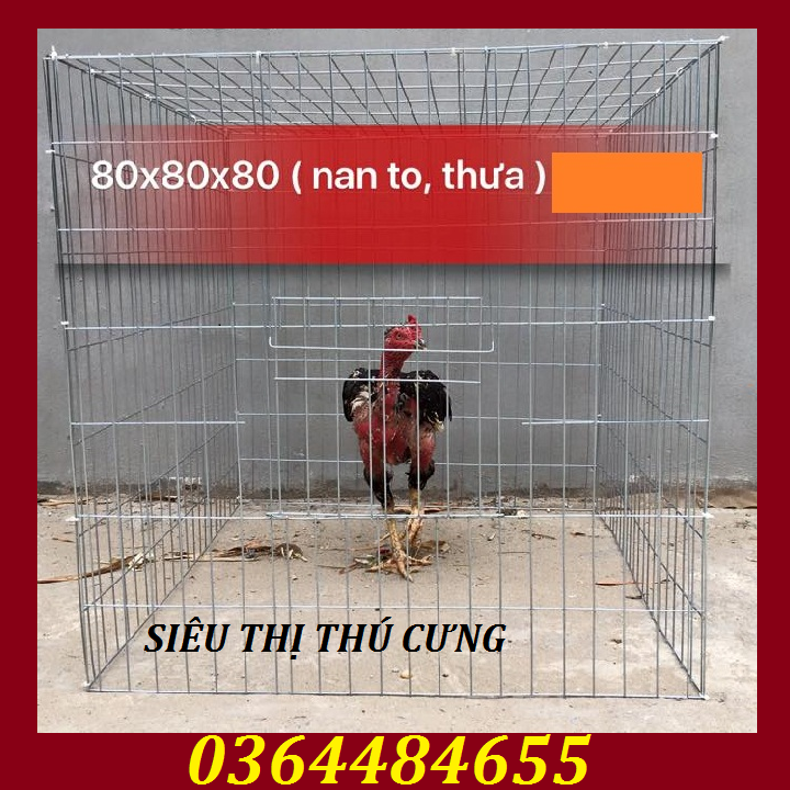 LỒNG NUÔI GÀ CHỌI KHÔNG KHAY TÔN-LỒNG NHỐT GÀ 80X80-LỒNG CHỤP GÀ CHỌIsiêu thị thành luân cơ sở 268