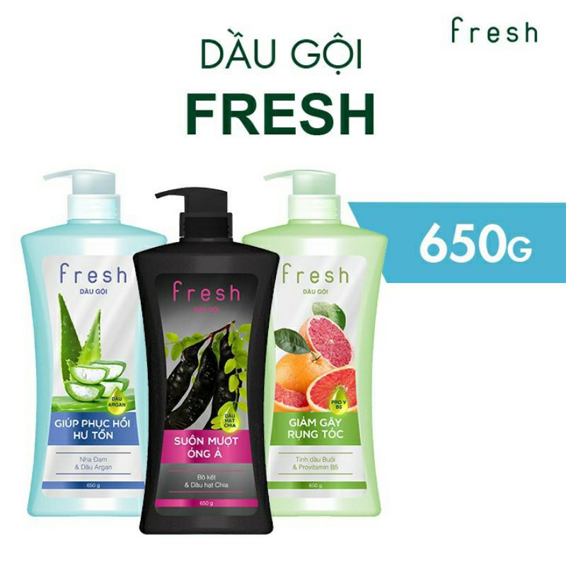Dầu gội fresh 650g