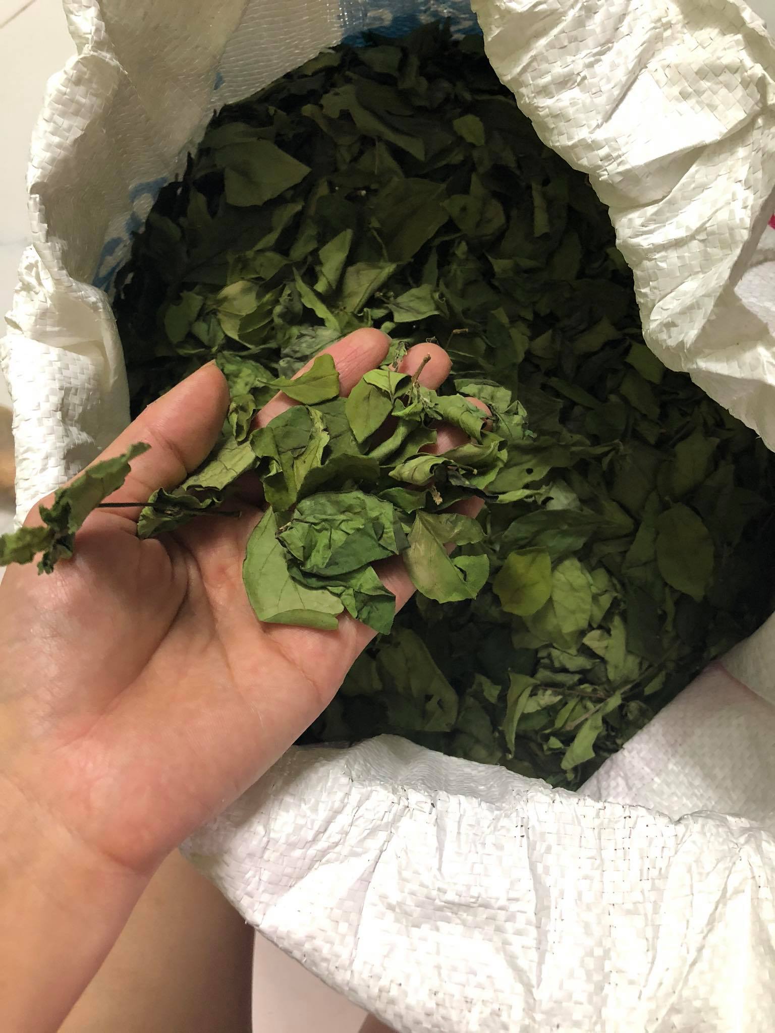 Lá thạch găng 1kg