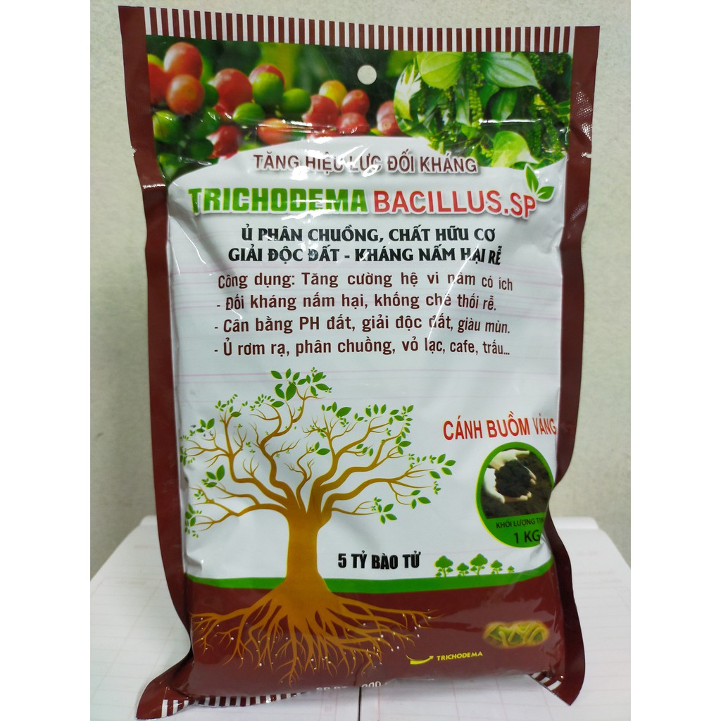 NẤM ĐỐI KHÁNG TRICHODEMA- xử lý giá thể , phòng trừ nấm bệnh- cải tạo đất- phân giải hữu cơ