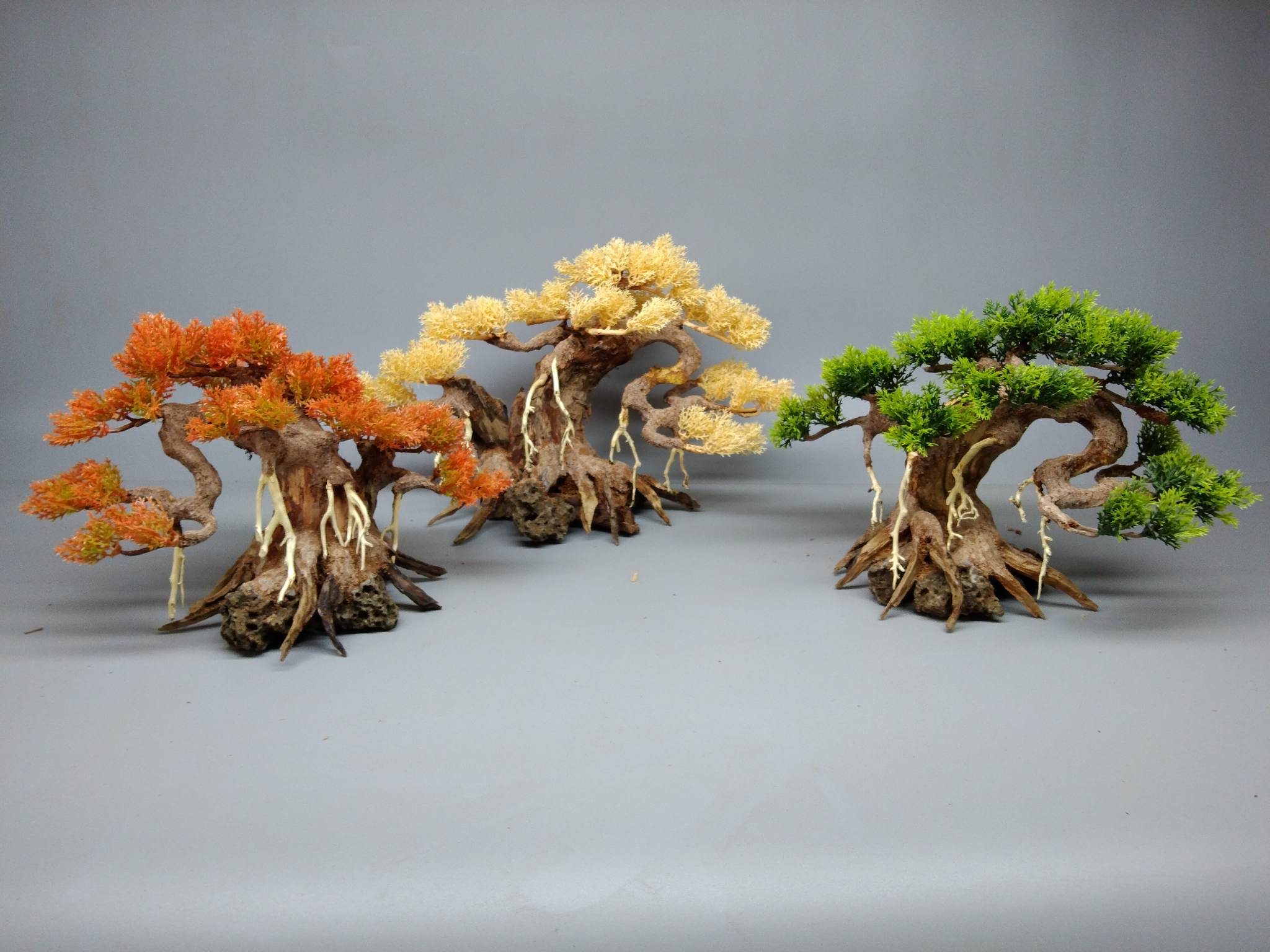 Cây gỗ lũa bonsai tán Tùng 2 thân cho hồ cá cảnh