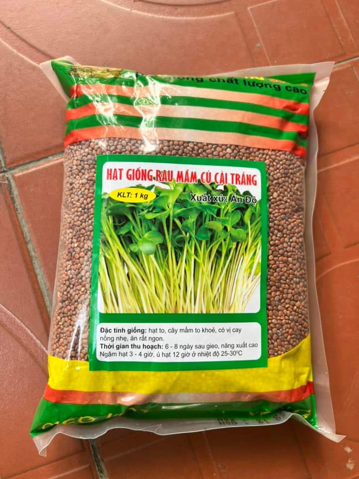 Hạt giống rau mầm củ cải trắng 1Kg