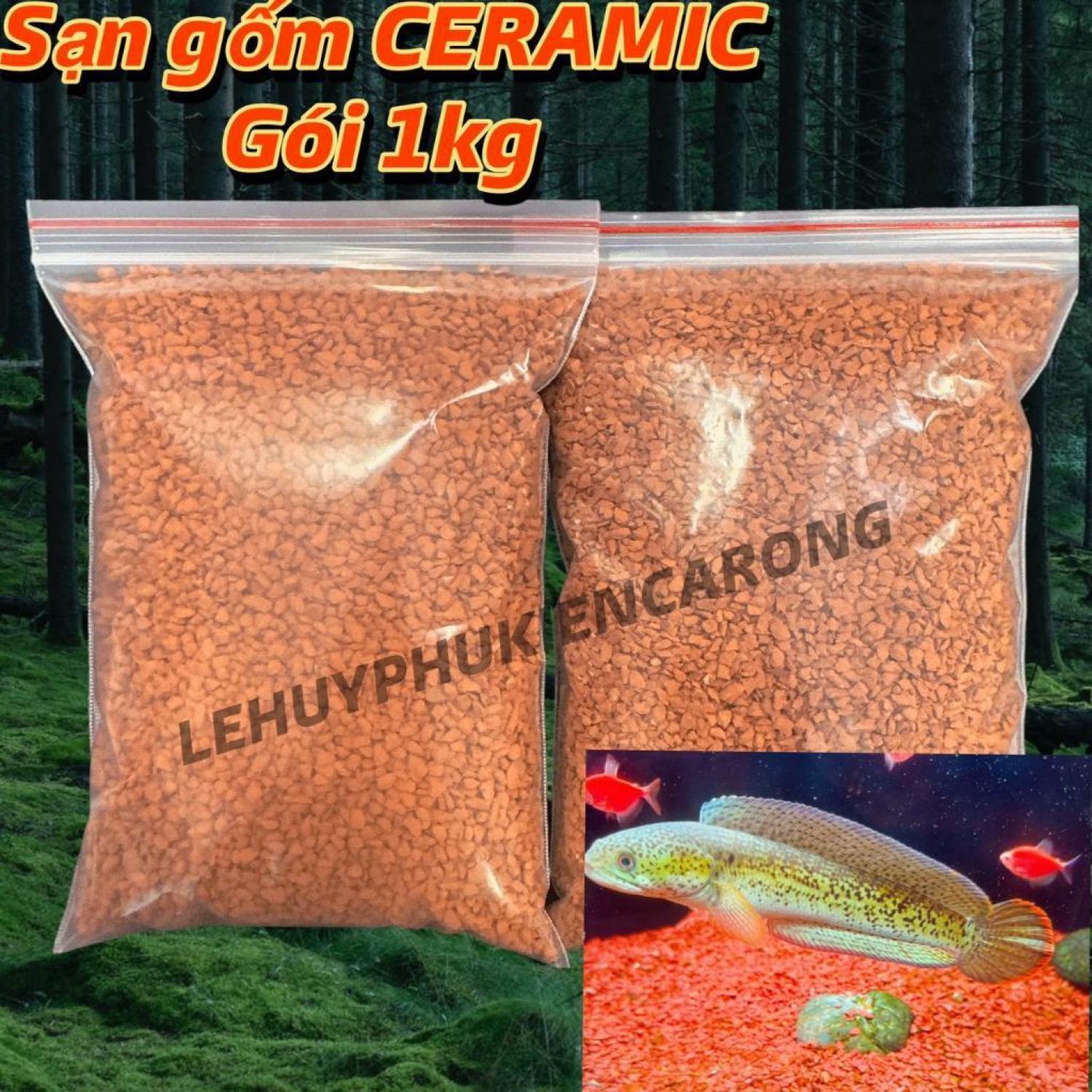 Sạn gốm ceramic trải nền hồ thủy sinh hồ cá lóc size trυng và lớn