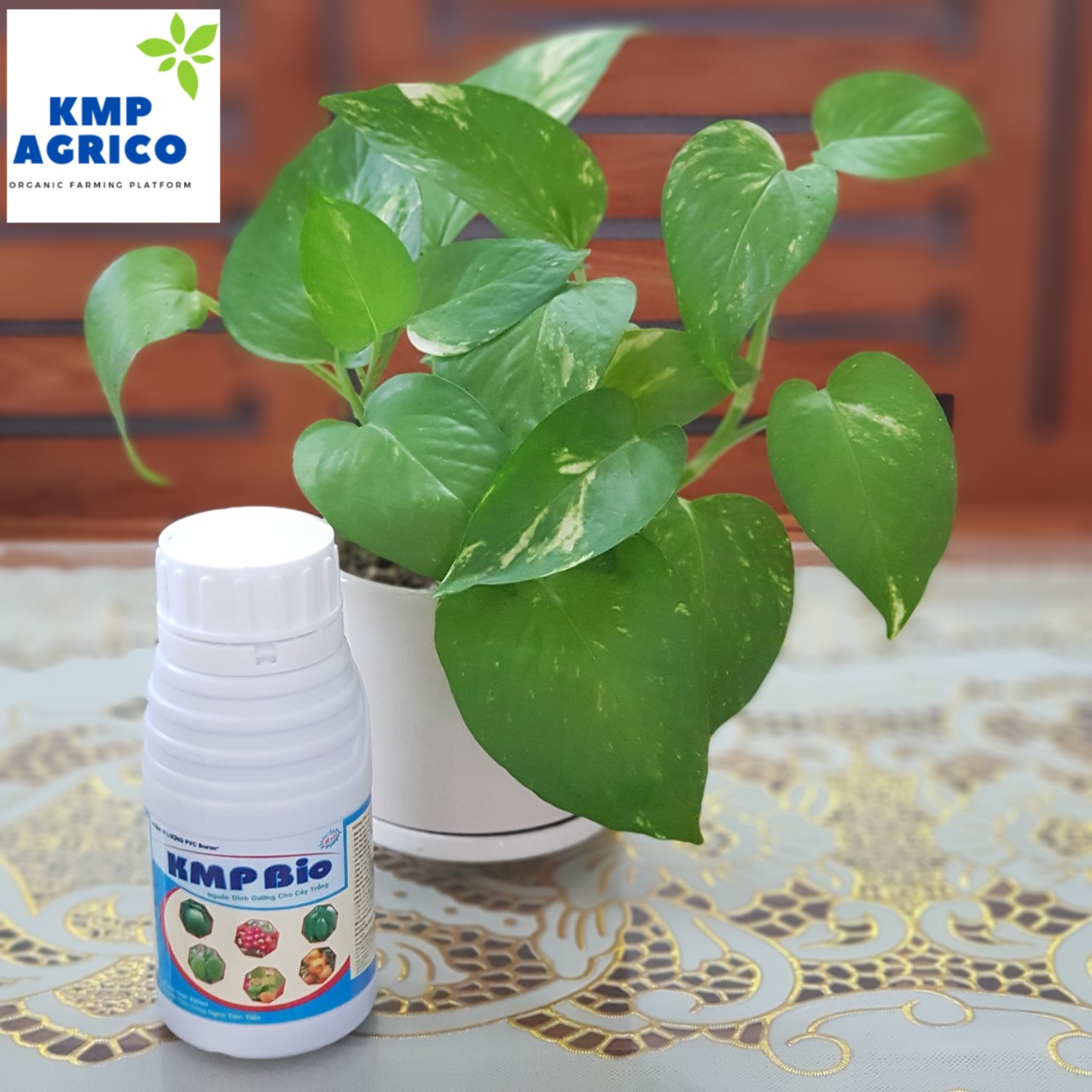 Phân Vi Lượng PVC Boron+ . Phân bón lá, giúp bung đọt nhanh, dày đọt, bóng quả. Dạng lỏng. Chai 250ml