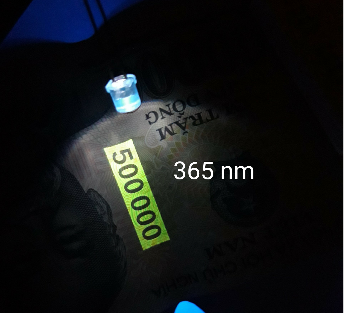 [HCM]5 led uv 365nm