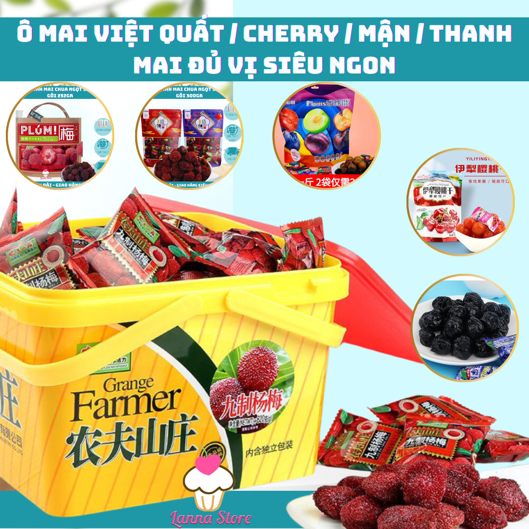 [Đủ Loại] Ô mai Việt quất / Cherry / Mân / Thanh Mai tươi - Hộp 620g