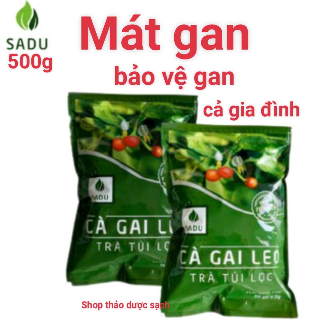 TRÀ TÚI LỌC CÀ GAI LEO LOẠI LỚN SADU 2 bịch (100 túi lọc )-mát gan, giải độc gan- sp hút chân không