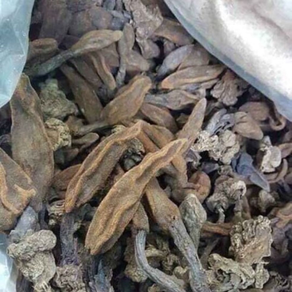 Nấm Ngọc Cẩu Khô 1kg