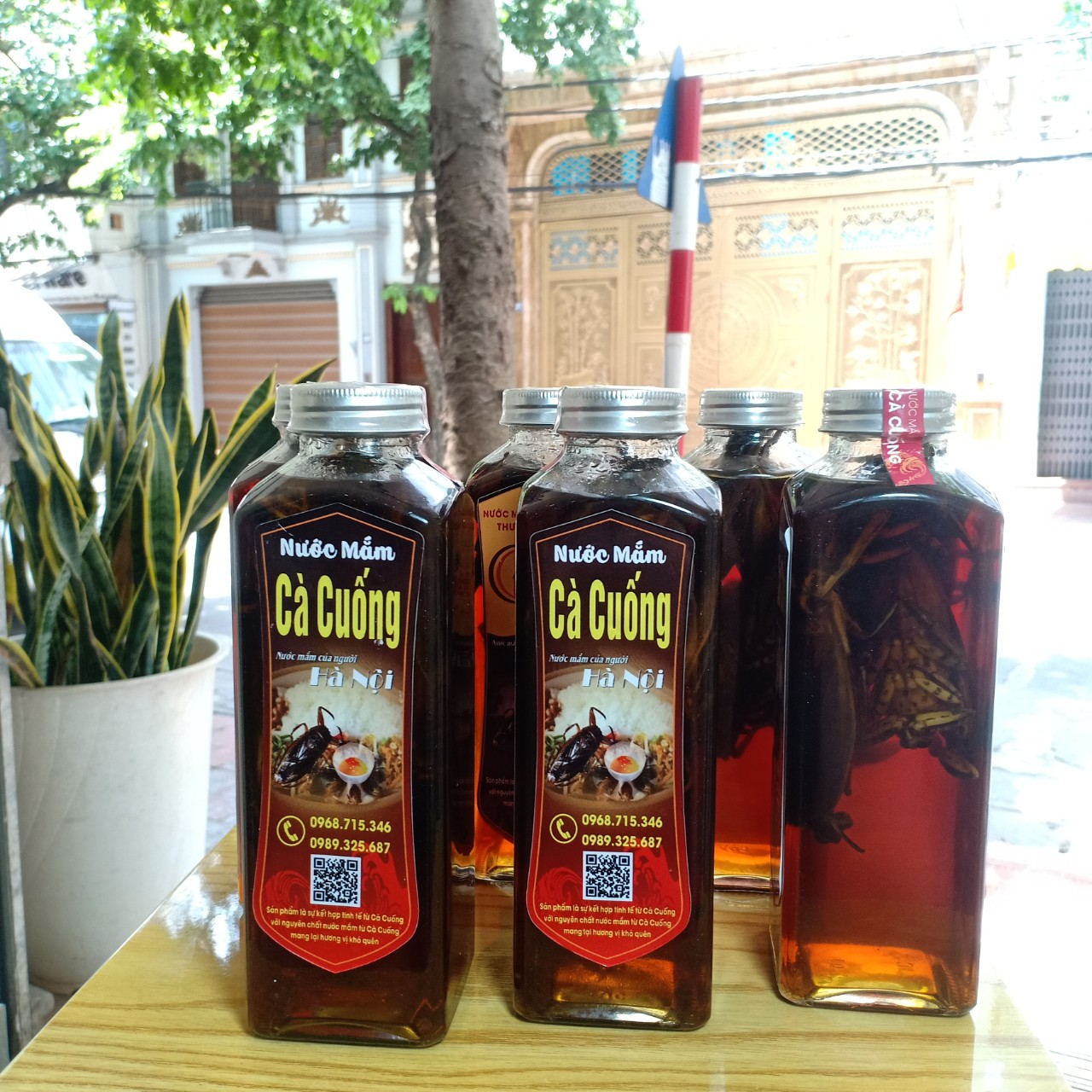 Nước mắm cà cuống Hà thành 500ml - Loại 2 con