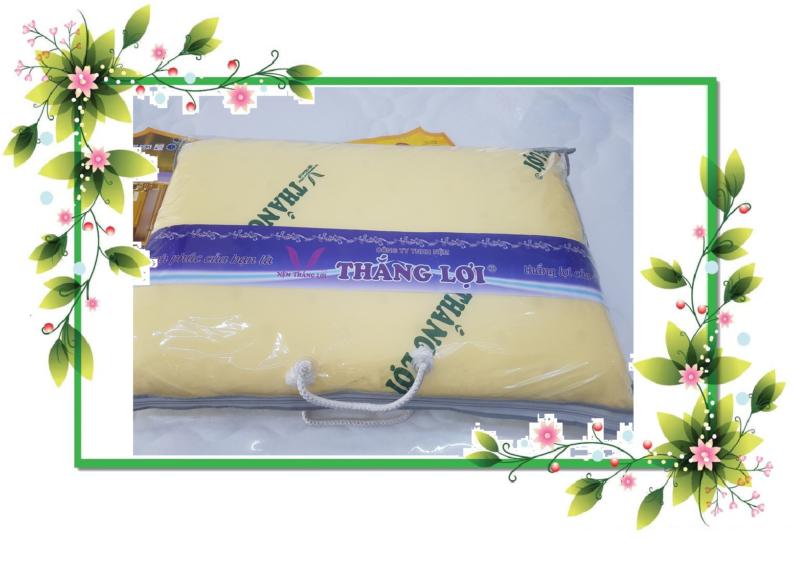 1 gối nằm cao su non thắng lợi 40x60cm