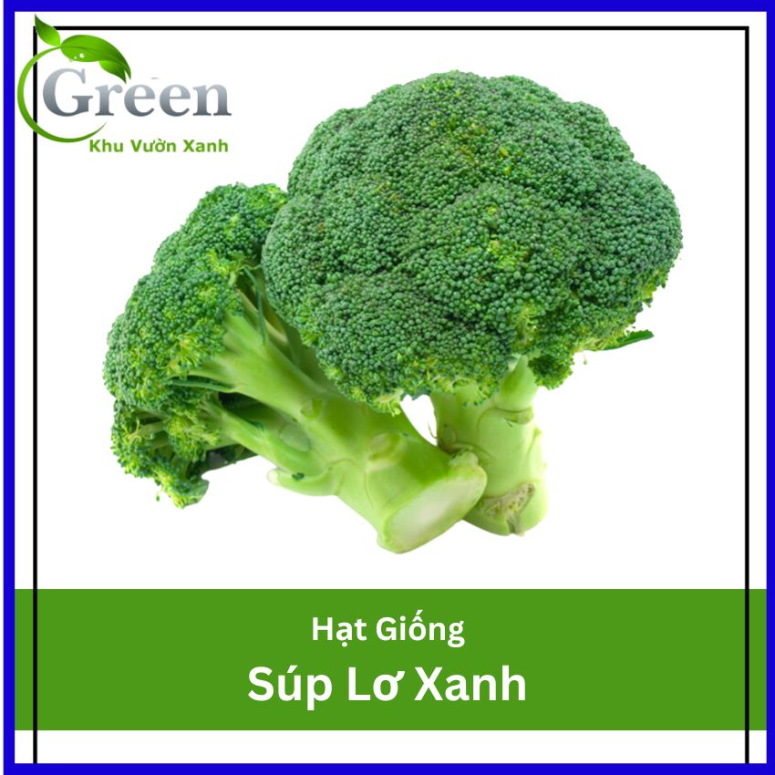 Hạt Giống Bông Cải Xanh (Súp Lơ Xanh)