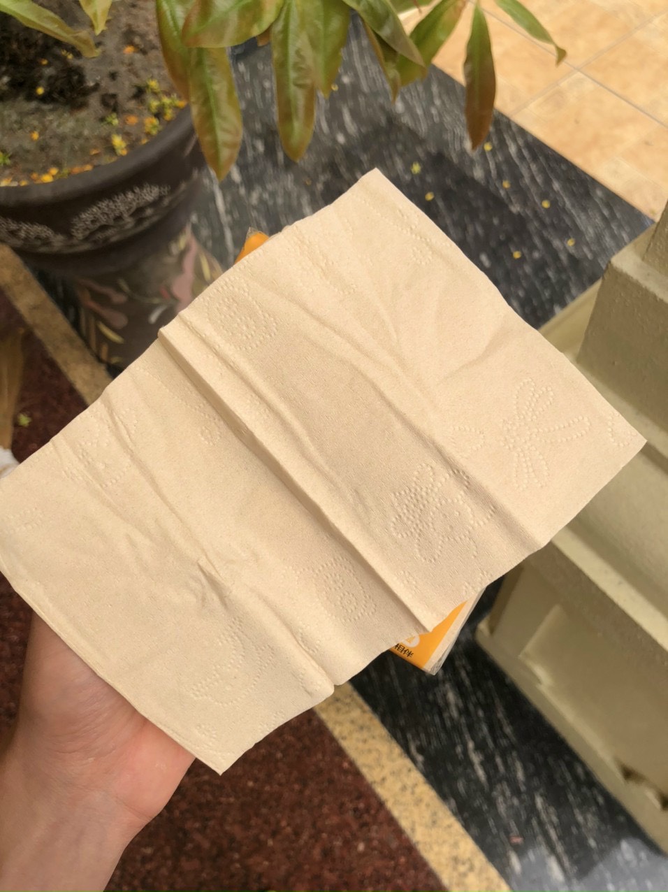THÙNG Giấy Ăn Sipao Gấu SIPAO Trúc Loại 1 - Gói Chuẩn Đủ 300 Tờ