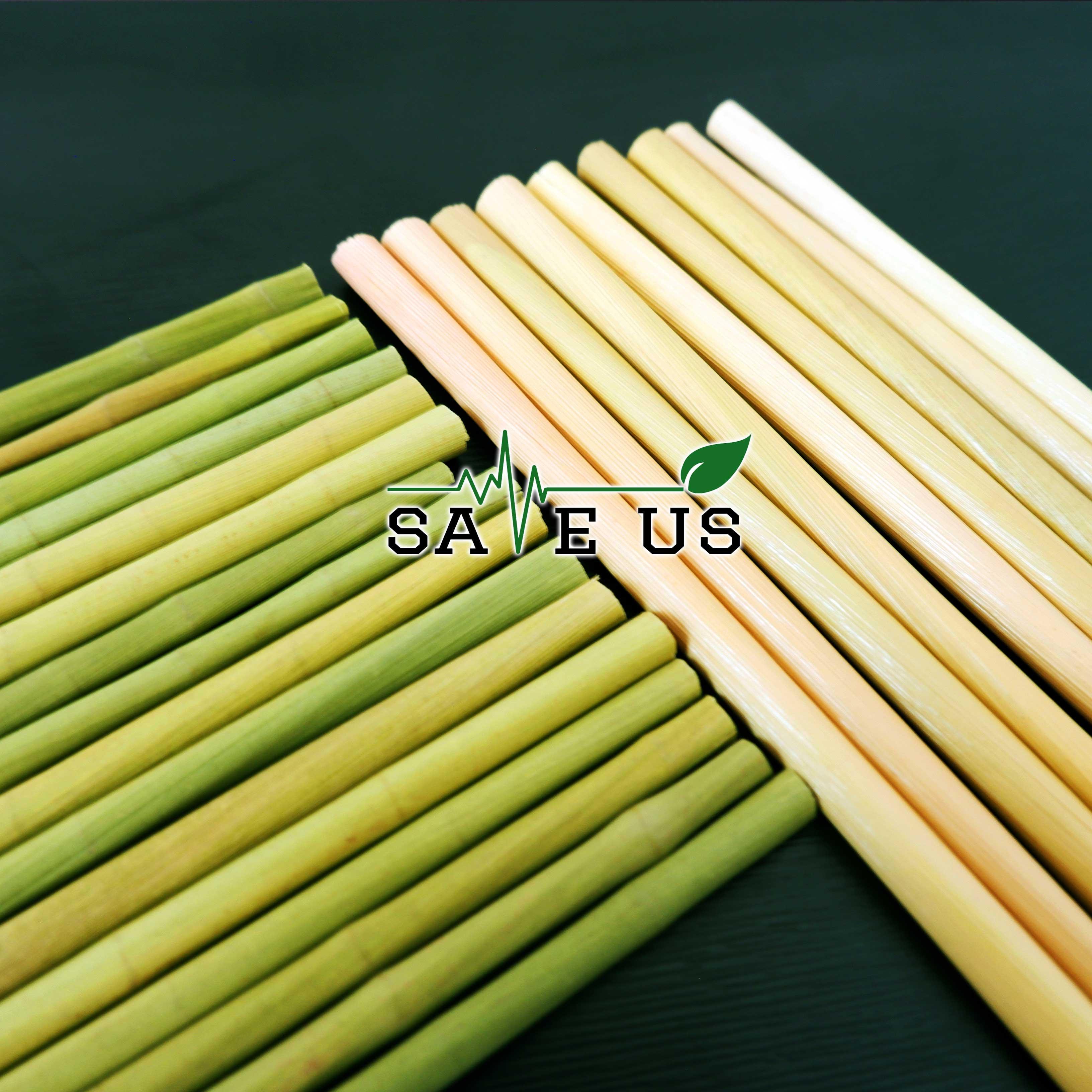 Hộp 100 ống hút cỏ bàng