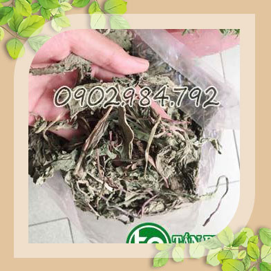 Lá bồ công anh khô 500g -  tấn phát