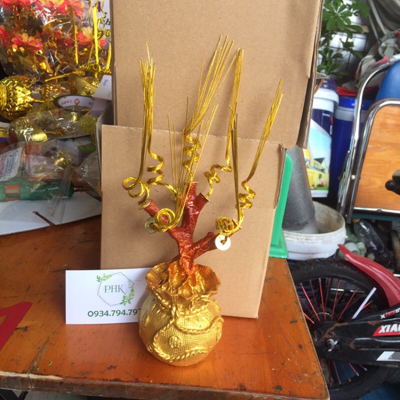Gốc 7 nhánh làm kẽm lót xu sẵn