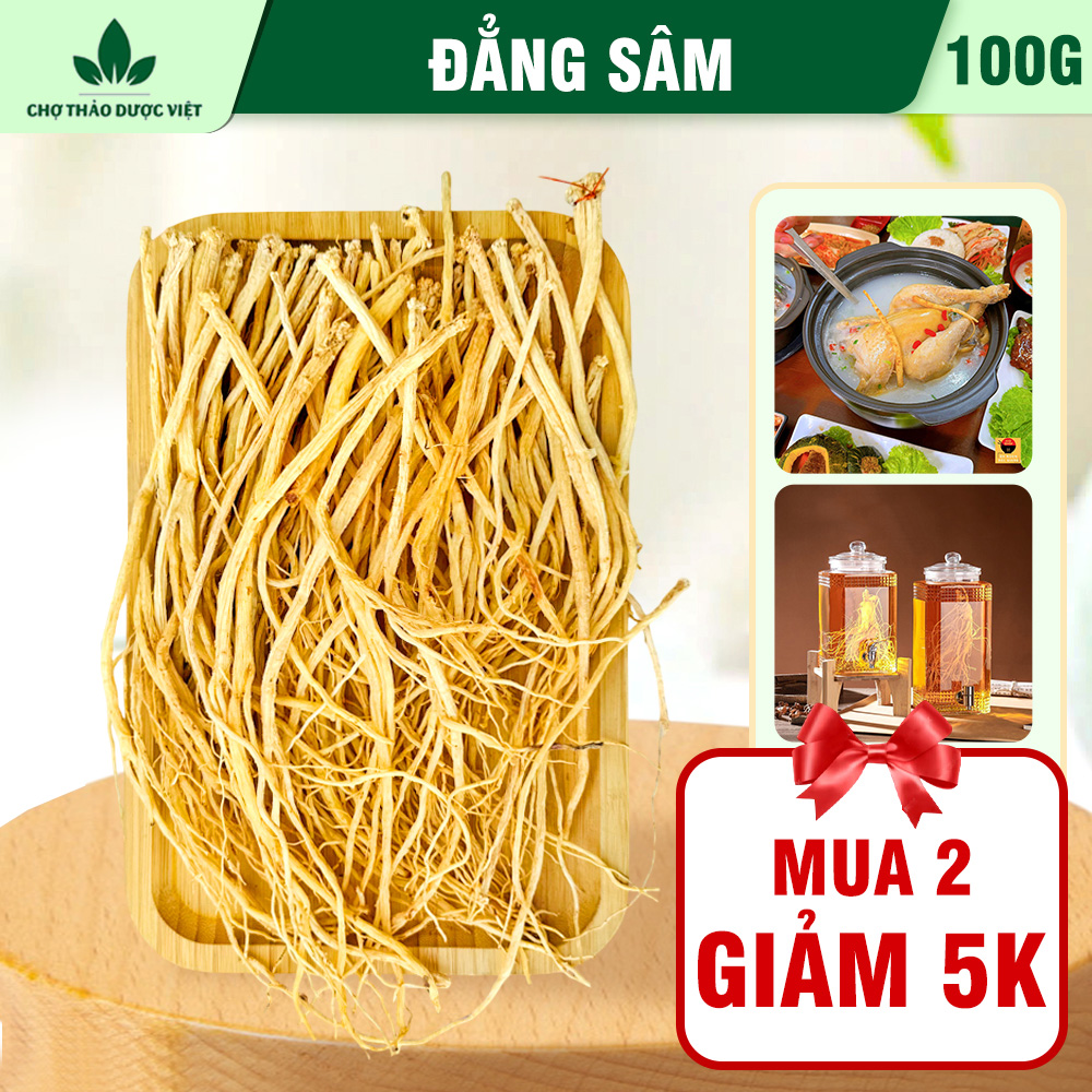 Đẳng sâm khô 100g, đảng sâm sợi to, vàng, hỗ trợ tốt cho sức khỏe - Chợ Thảo Dược Việt