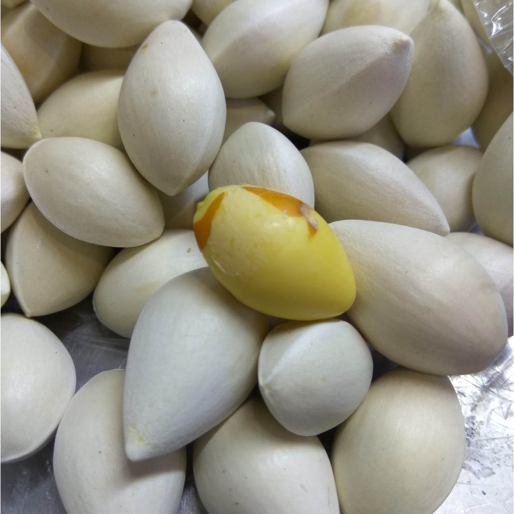 Hạt bạch quả khô túi 1 kg