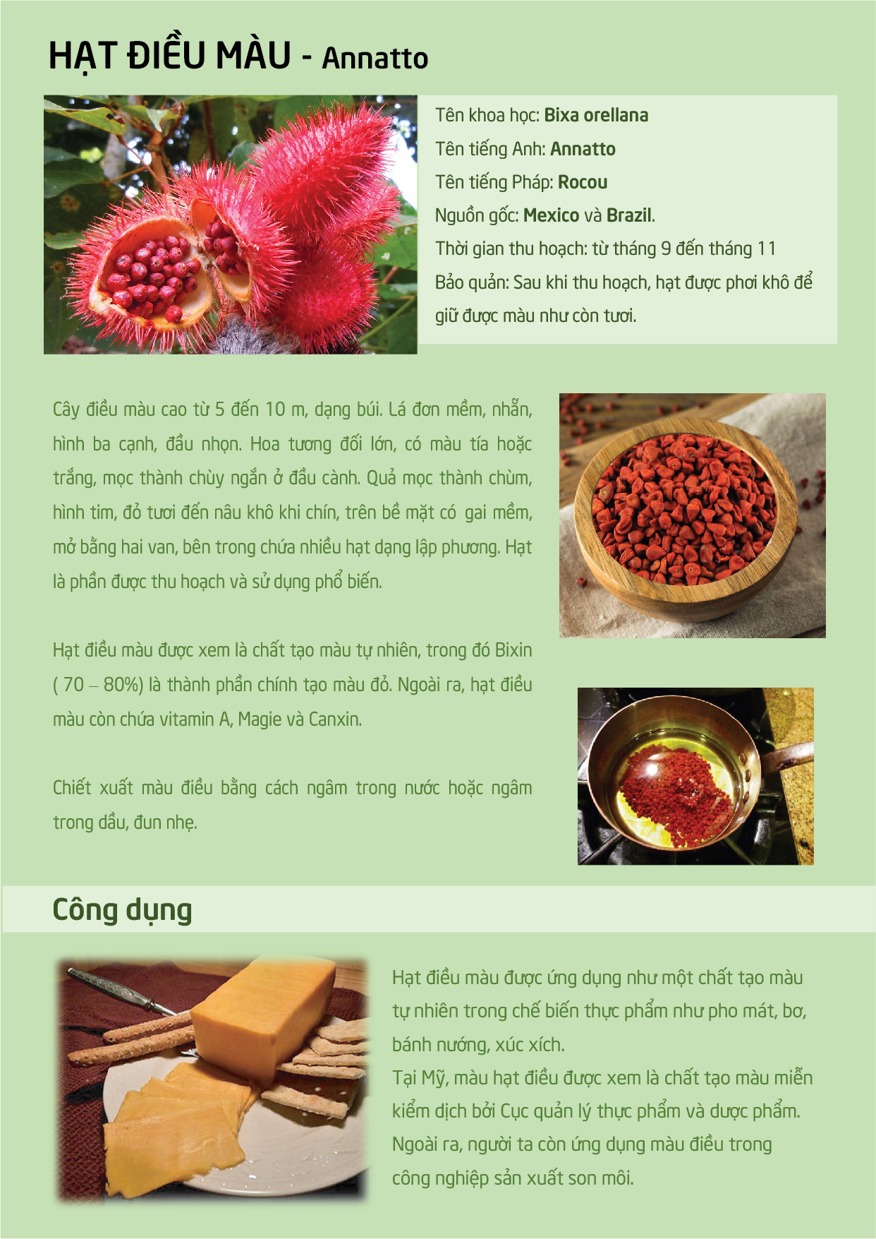 Bột điều màu Ông Chà Và 70gr (Annatto Powder)