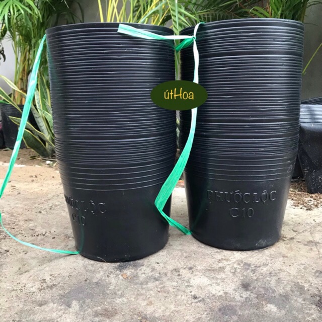 Combo 100 chậu nhựa đen c10 trồng cây