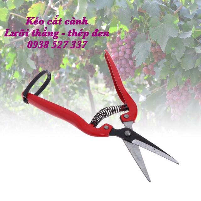 [ HOT SALE ] Kéo cắt tỉa cành lưỡi thẳng thép đen siêu bền giá rẻ