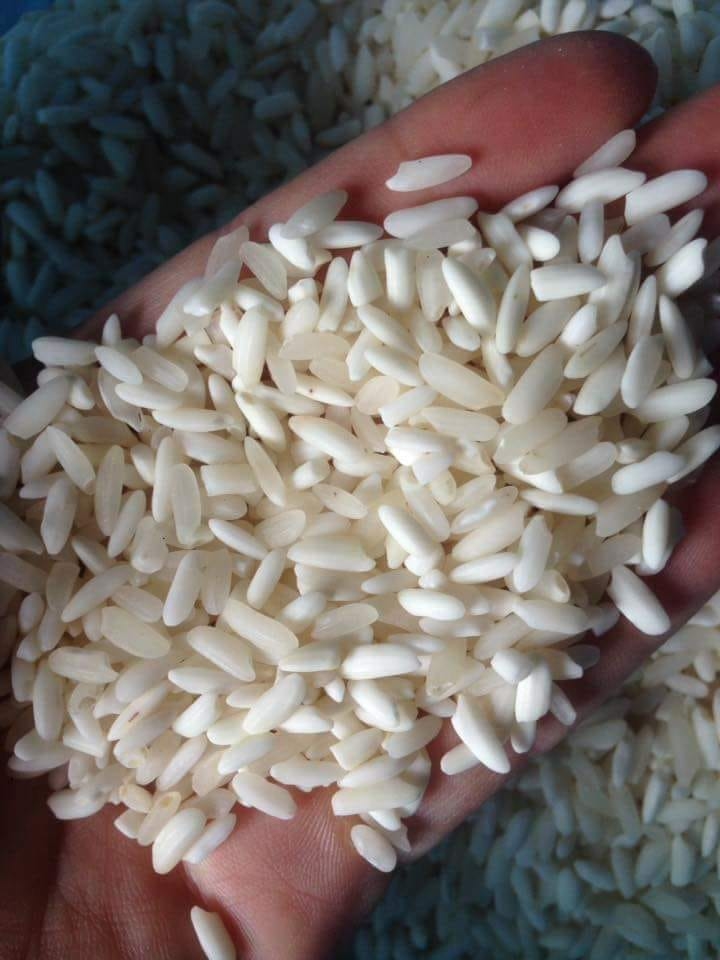 Gạo nếp Điện Biên 1kg, giàu chất tinh bột, dinh dưỡng hạt mẩy, to đều, trắng sáng, đặc sản vùng Tây Bắc | Tạp hóa Ánh Thảo